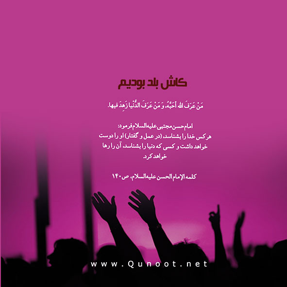 فرصتی برای شناخت