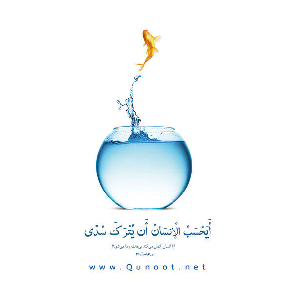 فرصتی برای شناخت