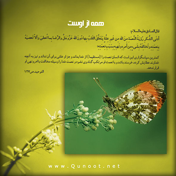 فرصتی برای سپاس
