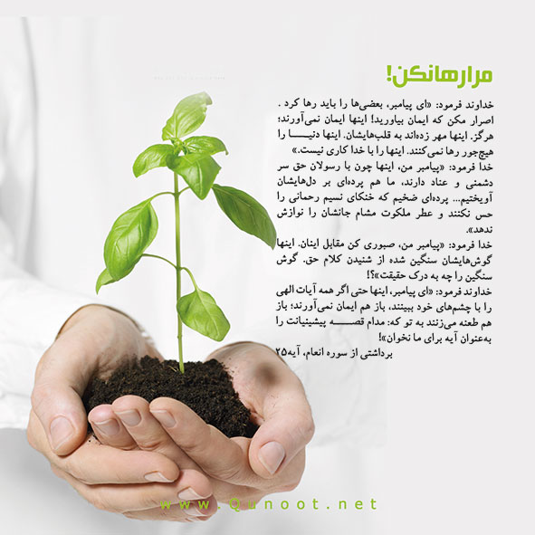فرصتی برای بازگشت