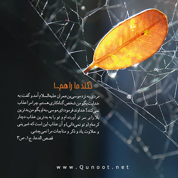 فرصتی برای بازگشت