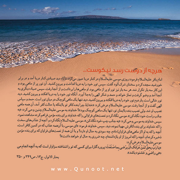 فرصتی برای بازگشت
