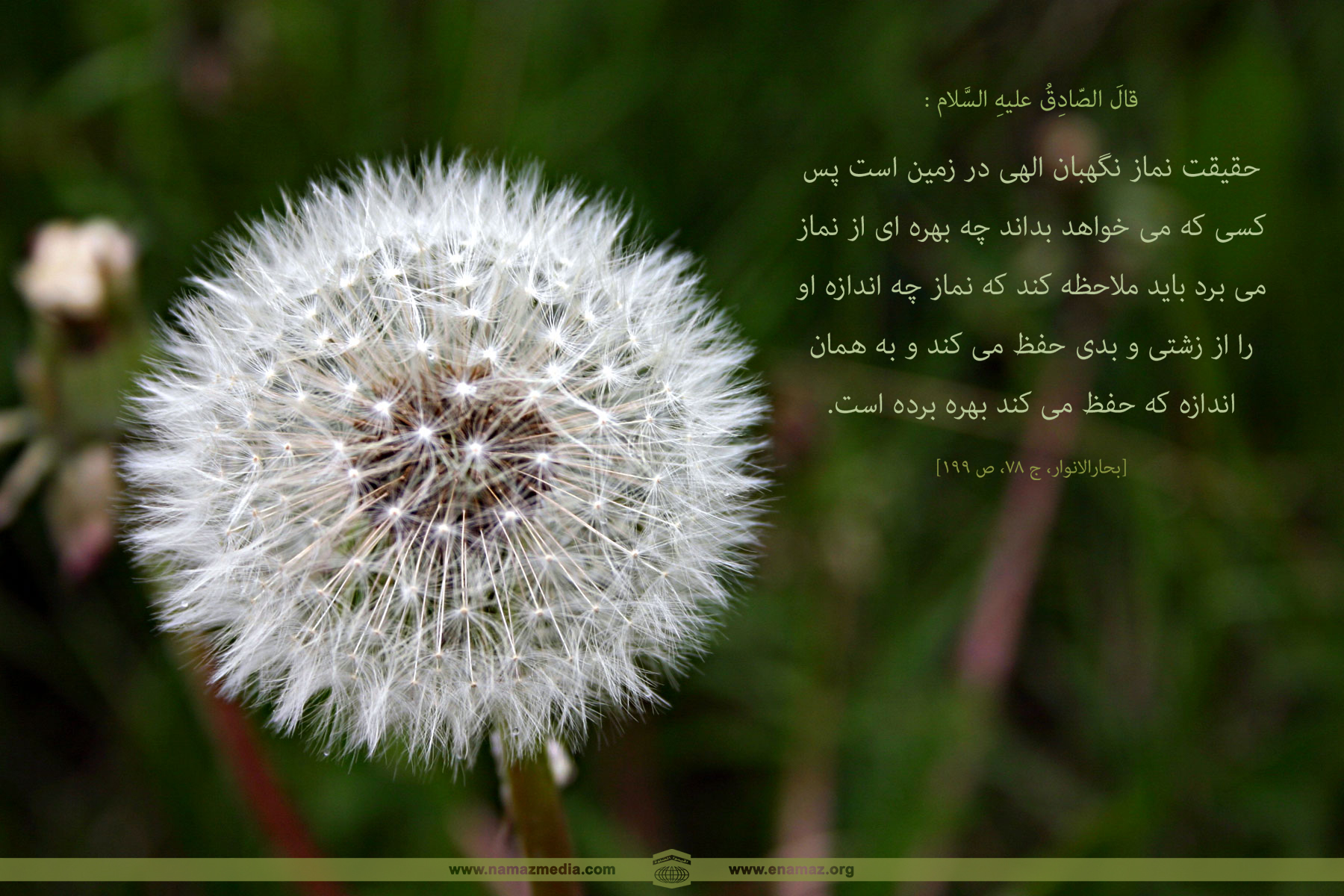 پوستر احادیث حضرت امام صادق(ع) 1