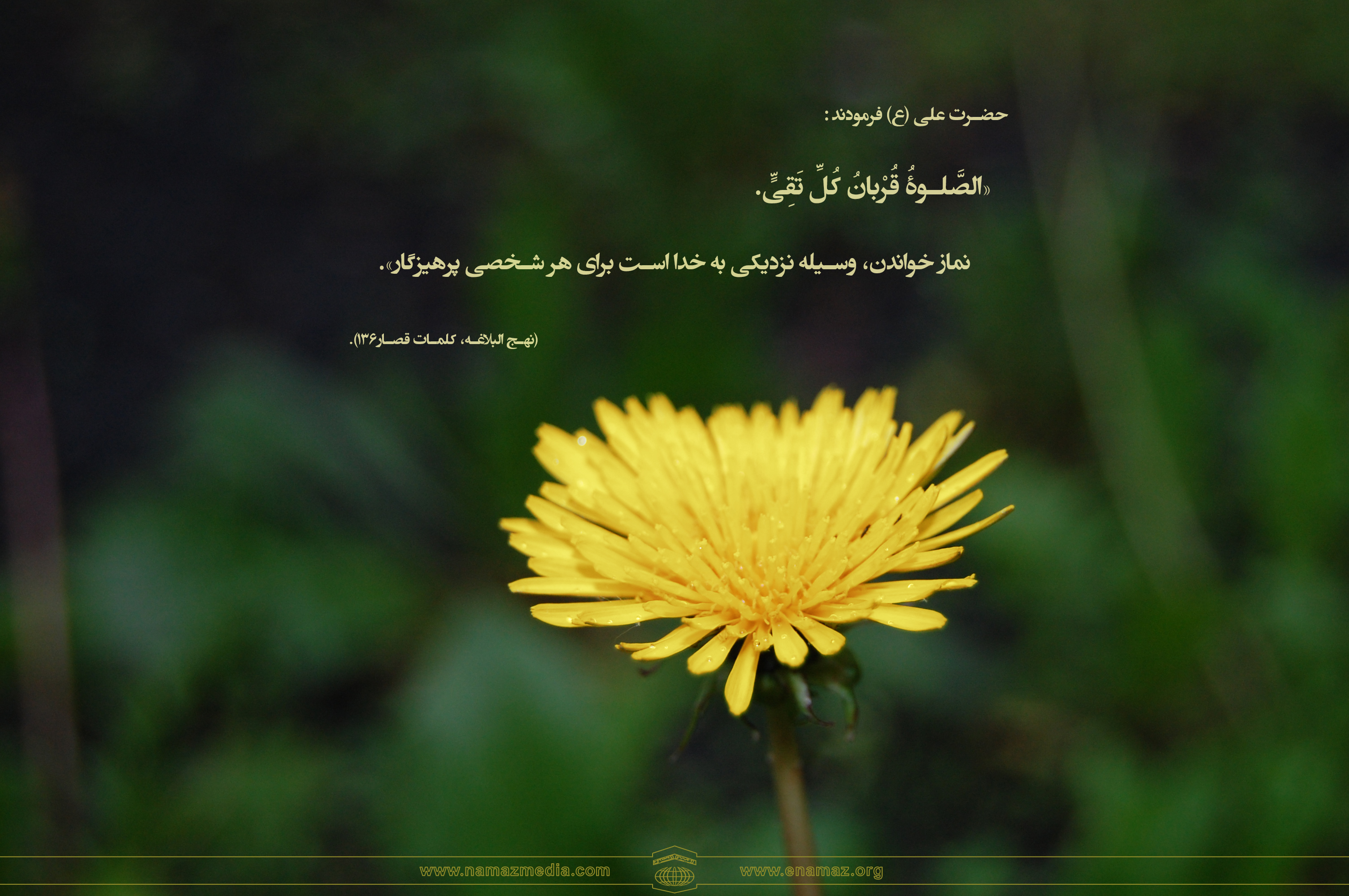 پوستر احادیث حضرت امام علی(ع) 1