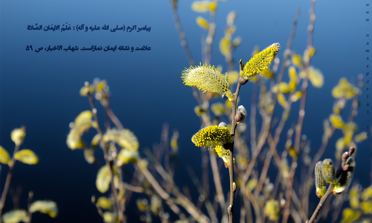 پوستر احادیث پیامبر گرامی اسلام(ص) 3