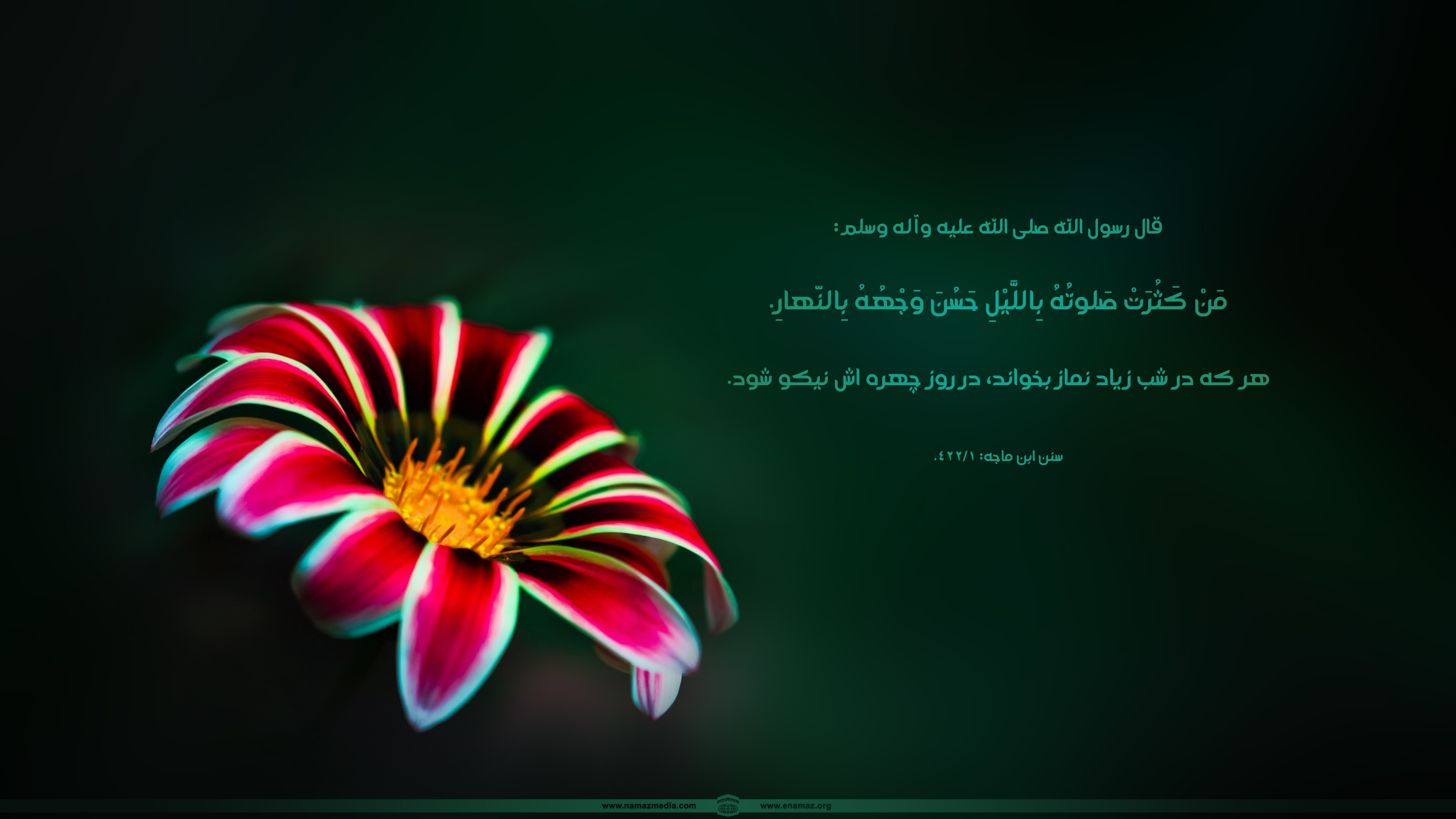 پوستر احادیث پیامبر گرامی اسلام(ص) 4