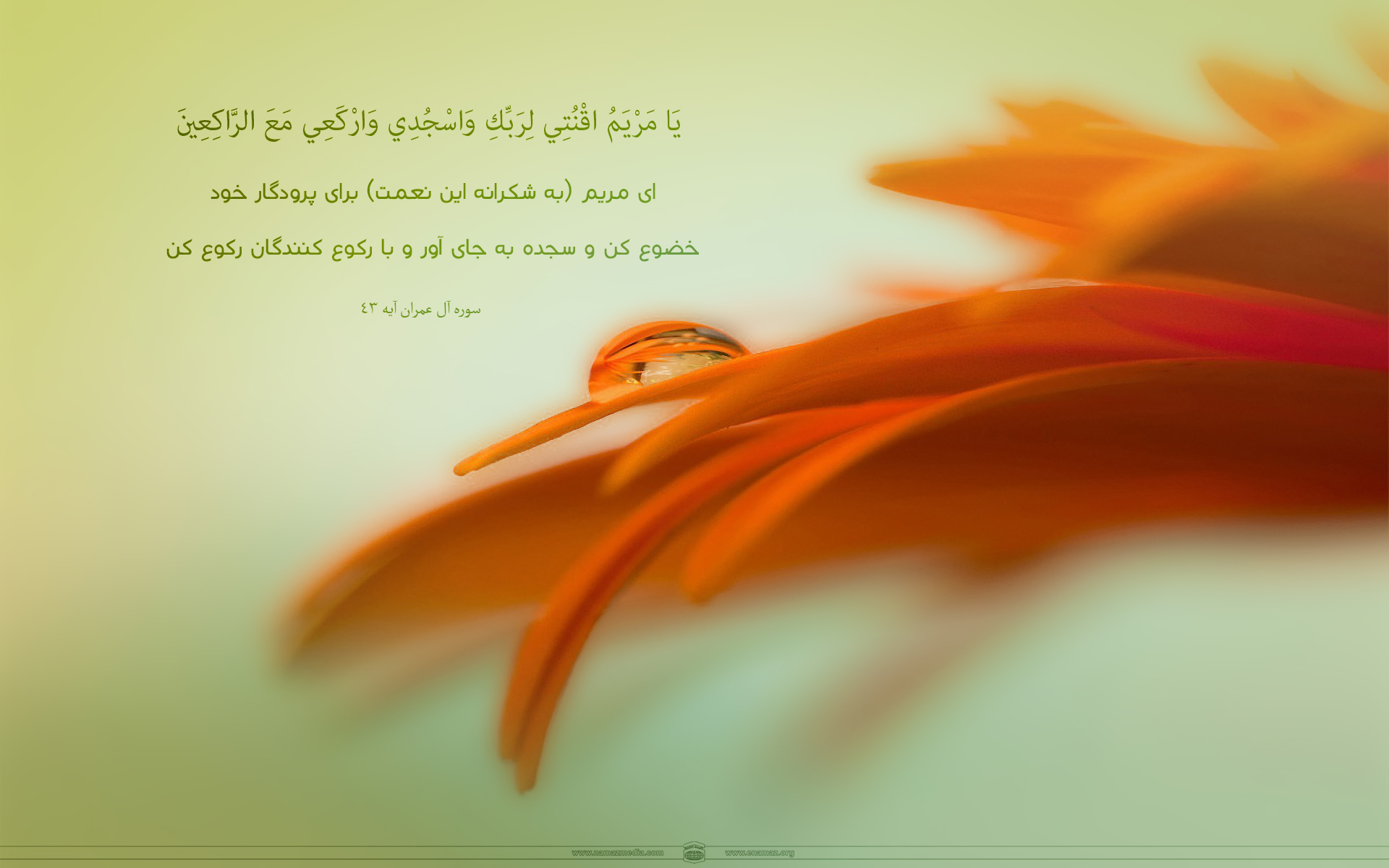 پوستر آیات نماز 2