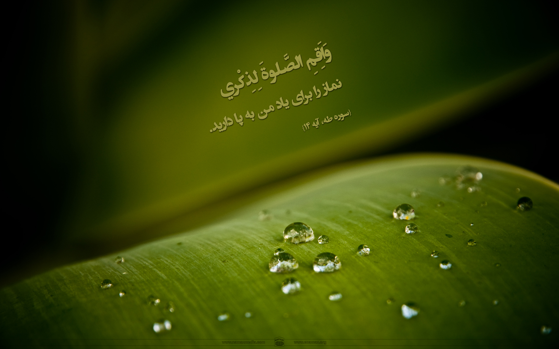پوستر آیات نماز 2