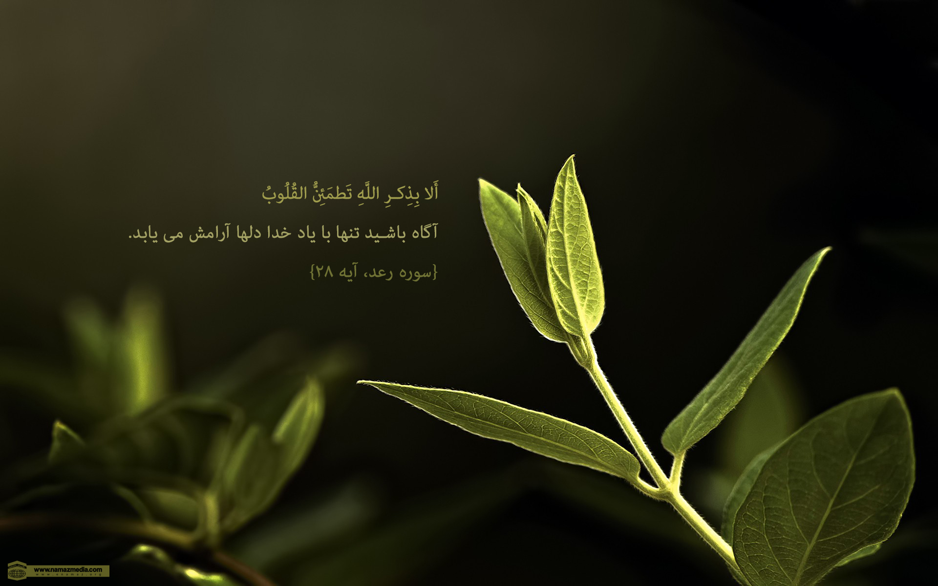 پوستر آیات نماز 2
